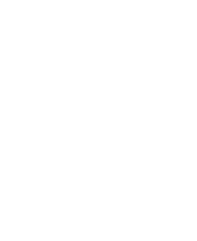 logo-n-blanco